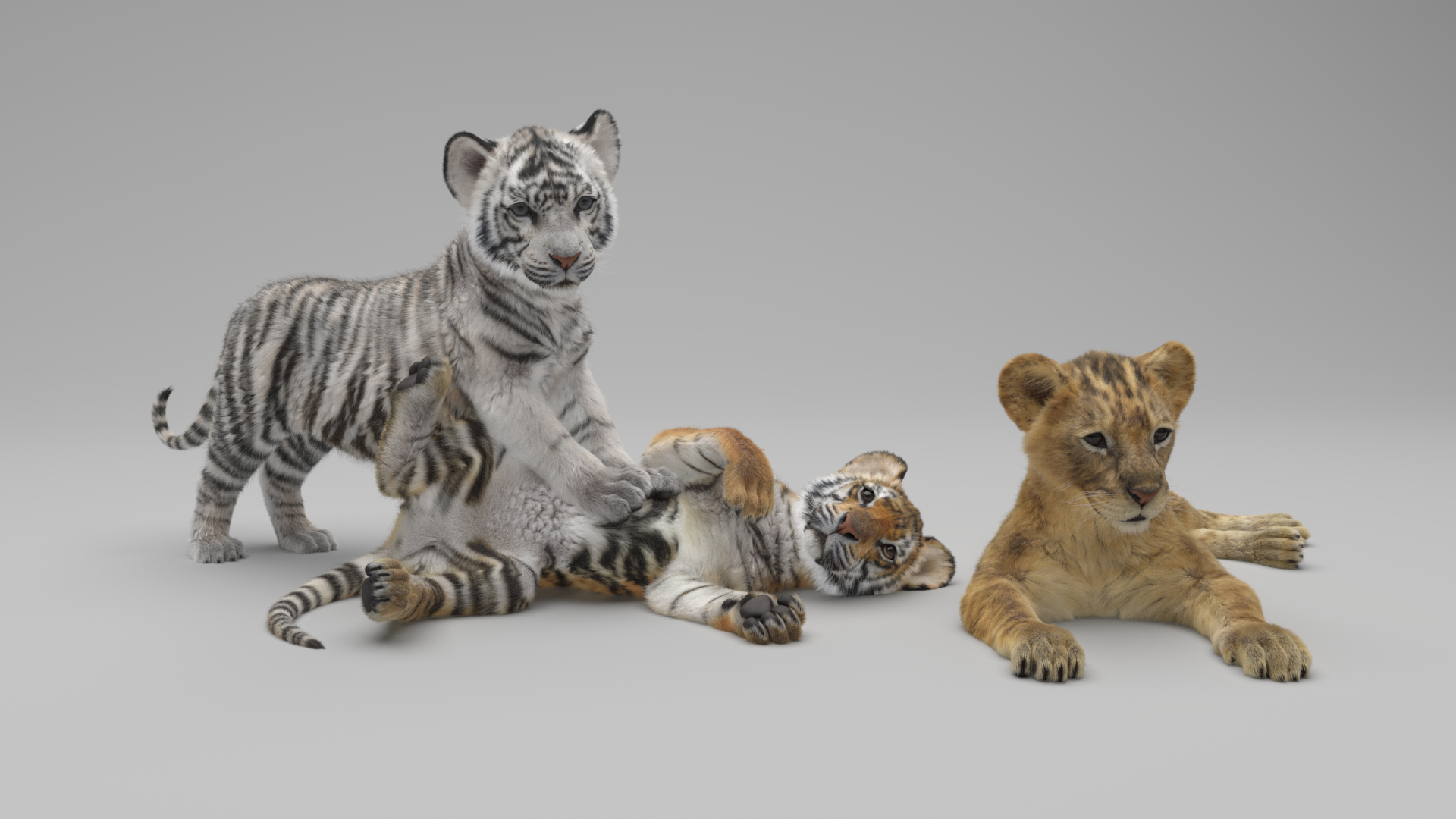 Lion & Tiger Cub